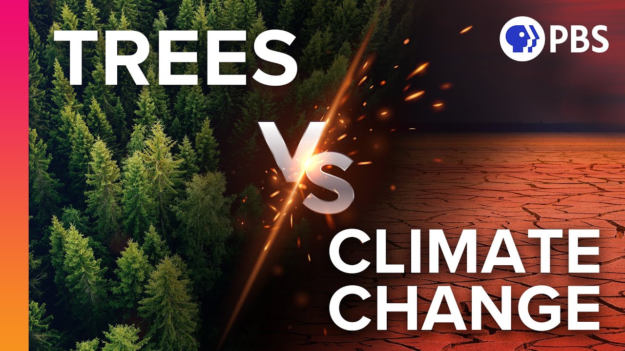 If We Plant 1 Trillion Trees Can We Stop Climate Change? - वनारंभ